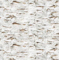 Earthly Delights Tree Bark