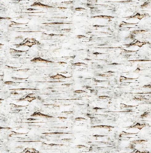 Earthly Delights Tree Bark