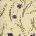 Moda MCG Ivory Thistle